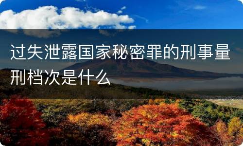 过失泄露国家秘密罪的刑事量刑档次是什么