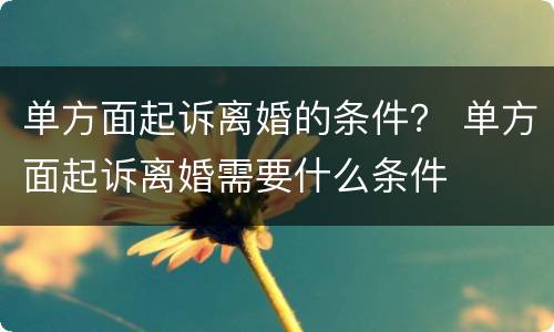 单方面起诉离婚的条件？ 单方面起诉离婚需要什么条件