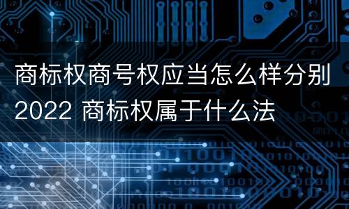 商标权商号权应当怎么样分别2022 商标权属于什么法