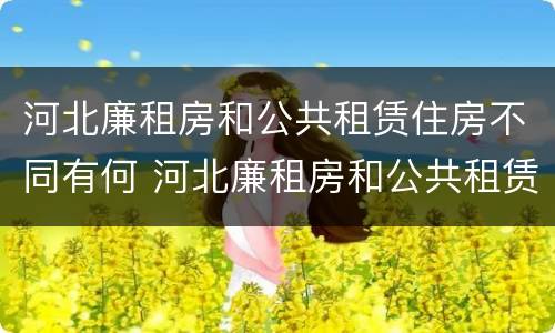 河北廉租房和公共租赁住房不同有何 河北廉租房和公共租赁住房不同有何规定