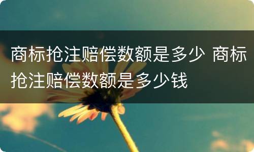商标抢注赔偿数额是多少 商标抢注赔偿数额是多少钱