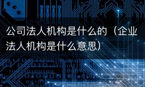公司法人机构是什么的（企业法人机构是什么意思）