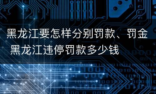 黑龙江要怎样分别罚款、罚金 黑龙江违停罚款多少钱