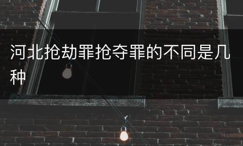 河北抢劫罪抢夺罪的不同是几种