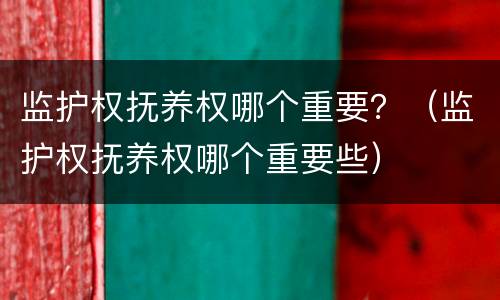 监护权抚养权哪个重要？（监护权抚养权哪个重要些）