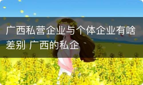 广西私营企业与个体企业有啥差别 广西的私企