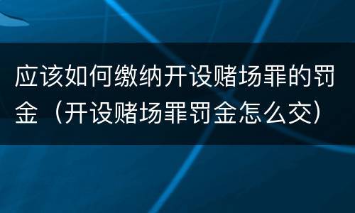 应该如何缴纳开设赌场罪的罚金（开设赌场罪罚金怎么交）
