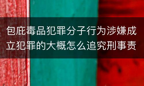 包庇毒品犯罪分子行为涉嫌成立犯罪的大概怎么追究刑事责任