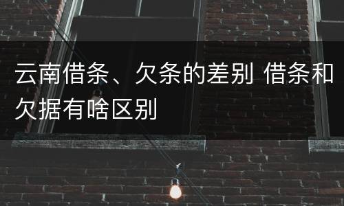云南借条、欠条的差别 借条和欠据有啥区别