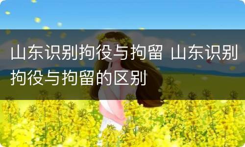 山东识别拘役与拘留 山东识别拘役与拘留的区别