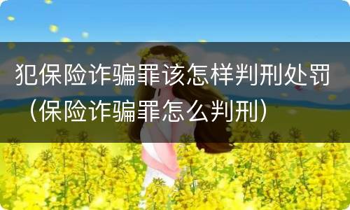 犯保险诈骗罪该怎样判刑处罚（保险诈骗罪怎么判刑）