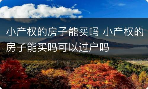 小产权的房子能买吗 小产权的房子能买吗可以过户吗