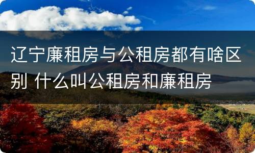 辽宁廉租房与公租房都有啥区别 什么叫公租房和廉租房