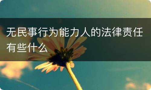 无民事行为能力人的法律责任有些什么