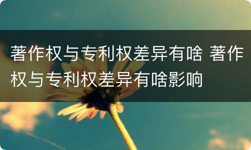 著作权与专利权差异有啥 著作权与专利权差异有啥影响