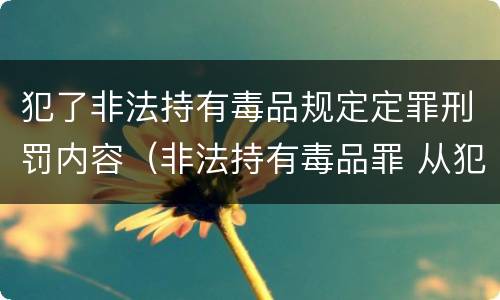 犯了非法持有毒品规定定罪刑罚内容（非法持有毒品罪 从犯）