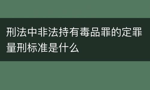 刑法中非法持有毒品罪的定罪量刑标准是什么