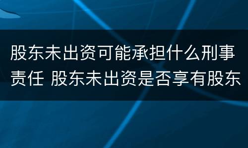 股东未出资可能承担什么刑事责任 股东未出资是否享有股东权利