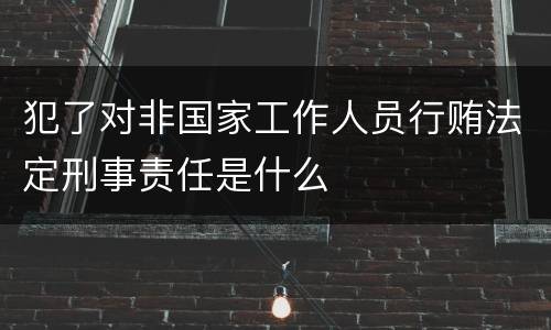 犯了对非国家工作人员行贿法定刑事责任是什么