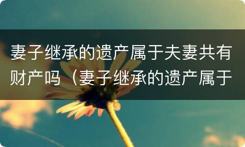 妻子继承的遗产属于夫妻共有财产吗（妻子继承的遗产属于夫妻共有财产吗为什么）
