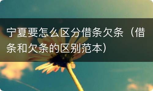 宁夏要怎么区分借条欠条（借条和欠条的区别范本）