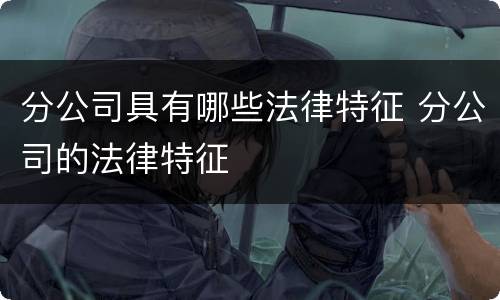 分公司具有哪些法律特征 分公司的法律特征