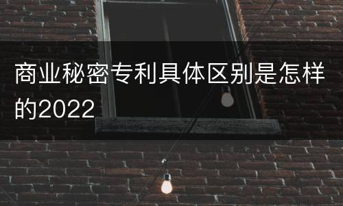 商业秘密专利具体区别是怎样的2022