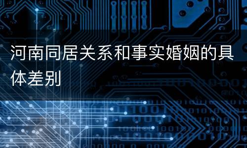 河南同居关系和事实婚姻的具体差别