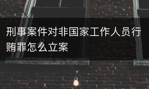 刑事案件对非国家工作人员行贿罪怎么立案