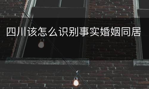 四川该怎么识别事实婚姻同居