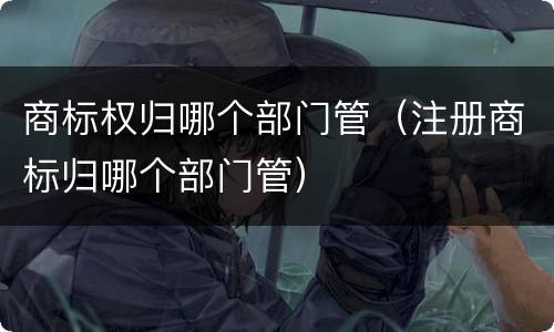 商标权归哪个部门管（注册商标归哪个部门管）