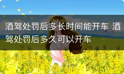 酒驾处罚后多长时间能开车 酒驾处罚后多久可以开车