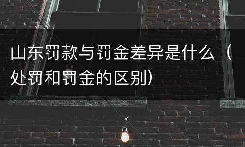 山东罚款与罚金差异是什么（处罚和罚金的区别）