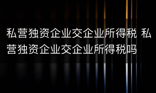 私营独资企业交企业所得税 私营独资企业交企业所得税吗