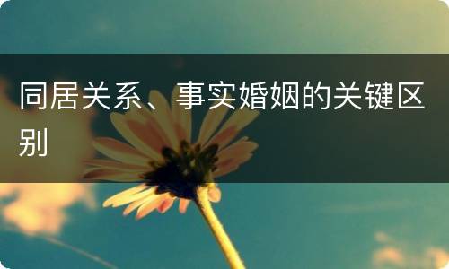 同居关系、事实婚姻的关键区别