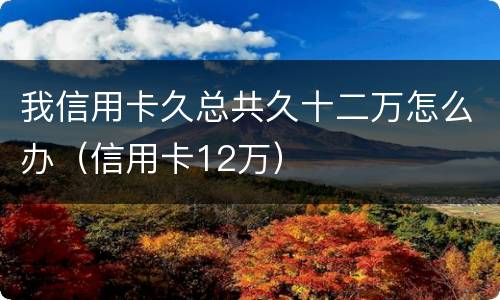我信用卡久总共久十二万怎么办（信用卡12万）
