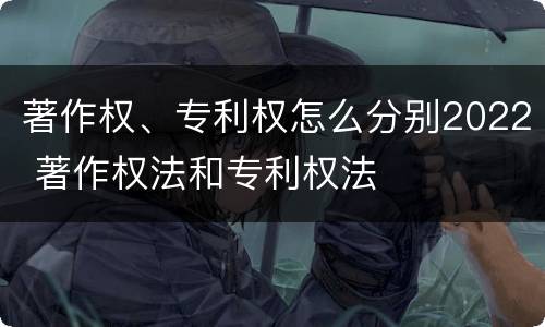 著作权、专利权怎么分别2022 著作权法和专利权法