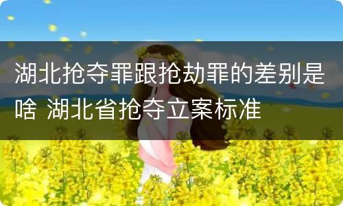 湖北抢夺罪跟抢劫罪的差别是啥 湖北省抢夺立案标准