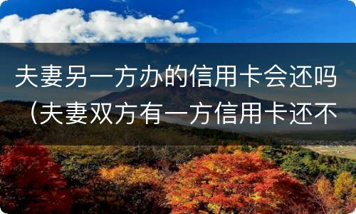 夫妻另一方办的信用卡会还吗（夫妻双方有一方信用卡还不上）