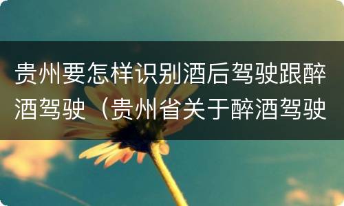 贵州要怎样识别酒后驾驶跟醉酒驾驶（贵州省关于醉酒驾驶机动车）
