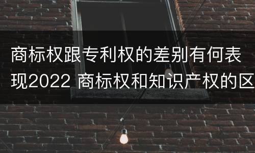 商标权跟专利权的差别有何表现2022 商标权和知识产权的区别