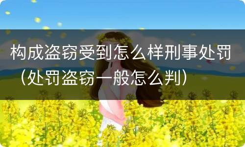 构成盗窃受到怎么样刑事处罚（处罚盗窃一般怎么判）