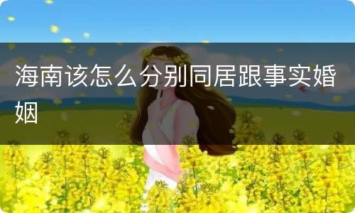 海南该怎么分别同居跟事实婚姻