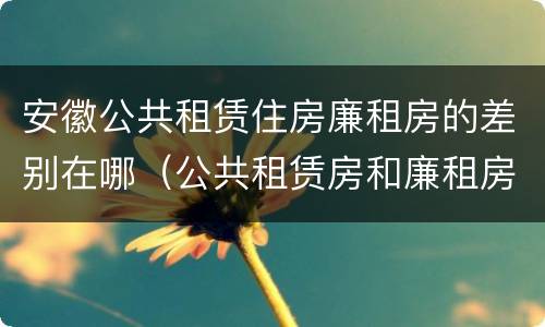 安徽公共租赁住房廉租房的差别在哪（公共租赁房和廉租房）