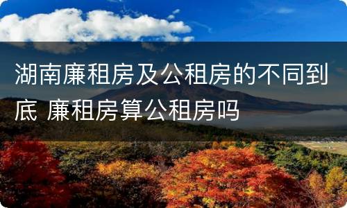 湖南廉租房及公租房的不同到底 廉租房算公租房吗