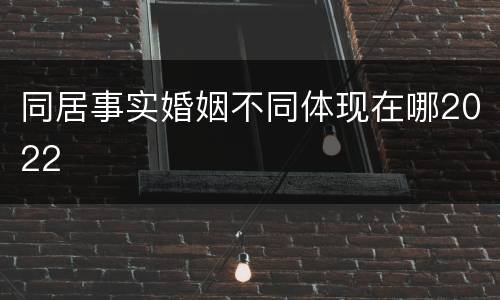 同居事实婚姻不同体现在哪2022