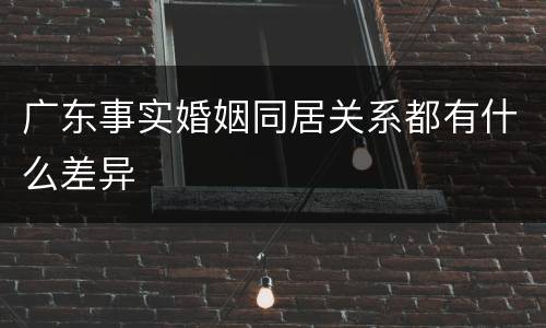 广东事实婚姻同居关系都有什么差异