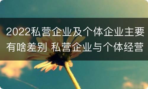 2022私营企业及个体企业主要有啥差别 私营企业与个体经营企业的区别
