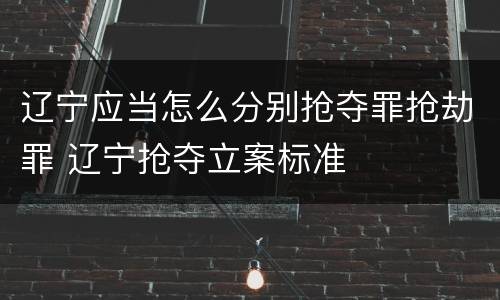 辽宁应当怎么分别抢夺罪抢劫罪 辽宁抢夺立案标准