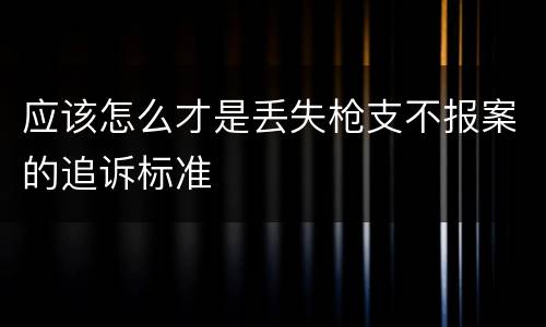 应该怎么才是丢失枪支不报案的追诉标准